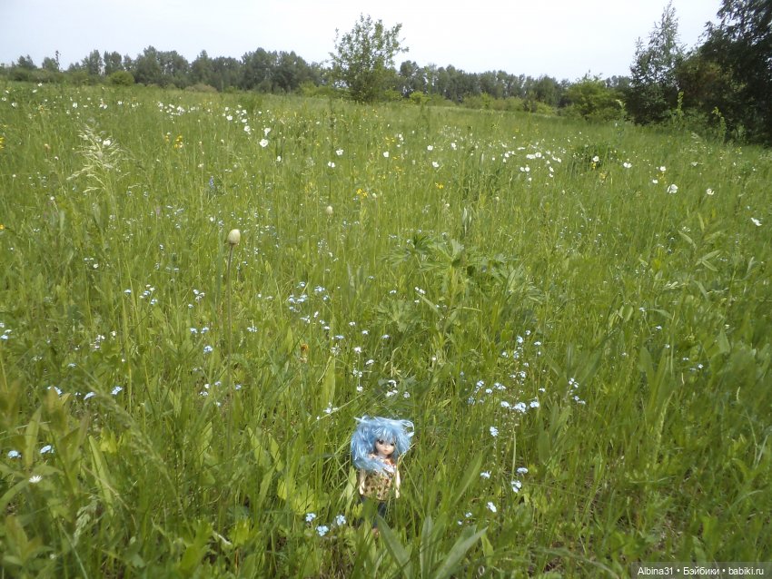 Прогулка по острову Татышев июнь 2023