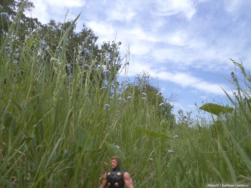 Прогулка по острову Татышев июнь 2023