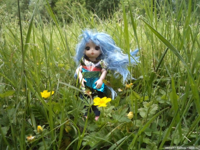 Прогулка по острову Татышев июнь 2023 (фото 2)