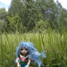 Прогулка по острову Татышев июнь 2023