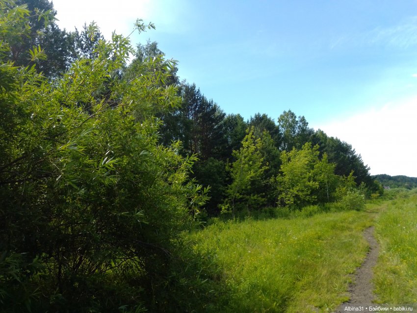 Вылазка на природу — Разные шарнирные куклы (не БЖД): редкие