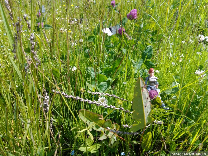 Вылазка на природу — Разные шарнирные куклы (не БЖД): редкие