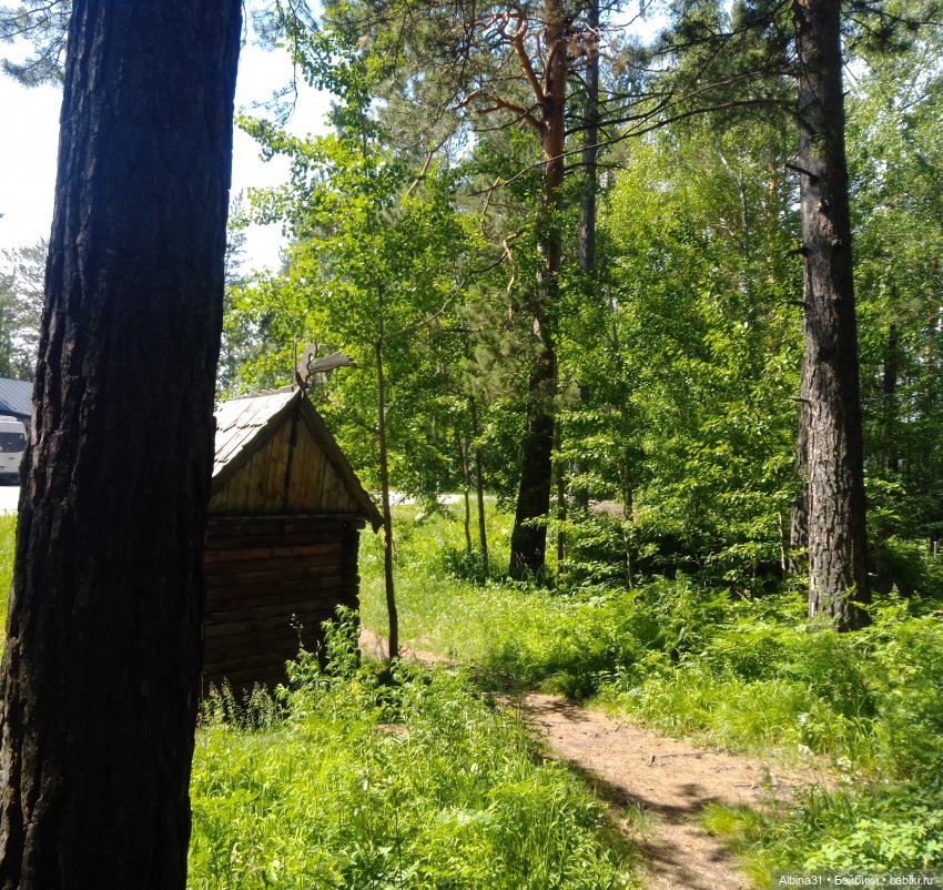 Вылазка на природу — Разные шарнирные куклы (не БЖД): редкие