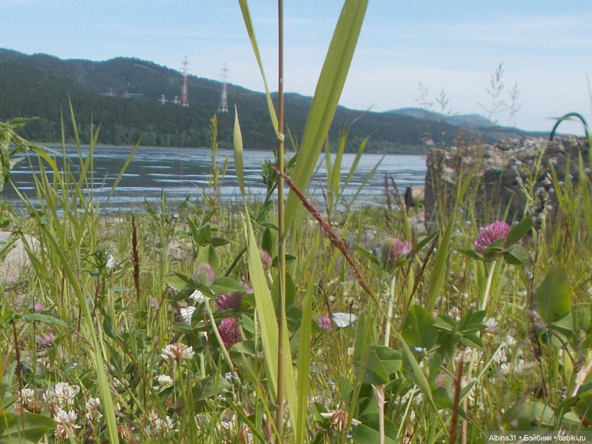 Вылазка на природу — Разные шарнирные куклы (не БЖД): редкие
