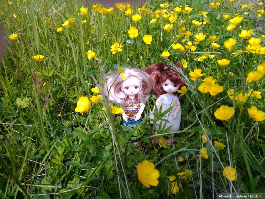 Вылазка на природу — Разные шарнирные куклы (не БЖД): редкие (фото 4)