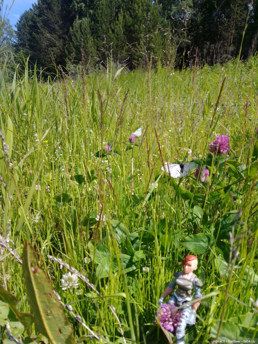 Вылазка на природу — Разные шарнирные куклы (не БЖД): редкие