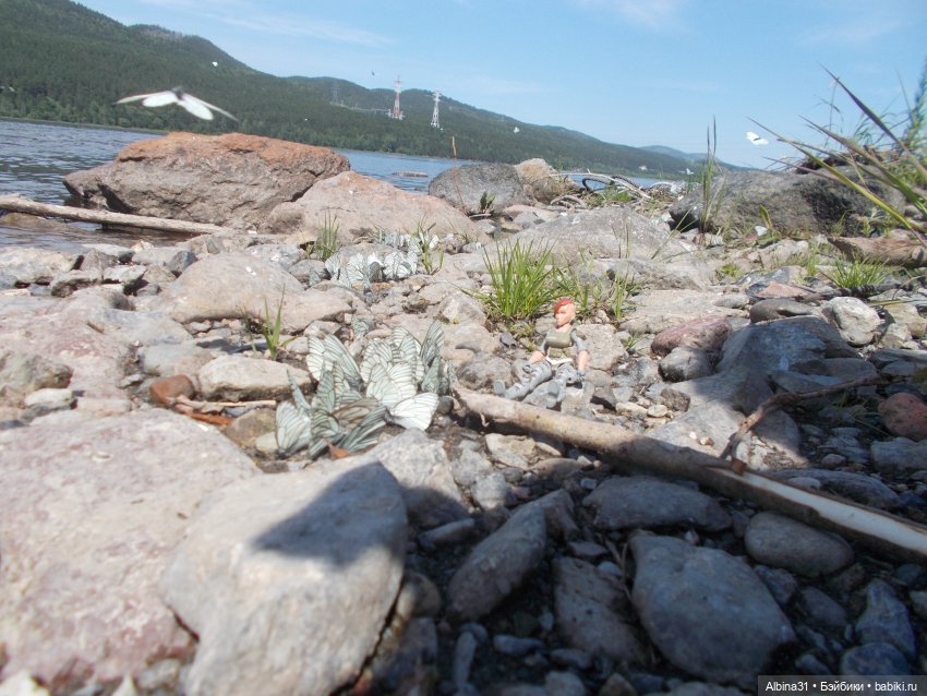 Вылазка на природу — Разные шарнирные куклы (не БЖД): редкие