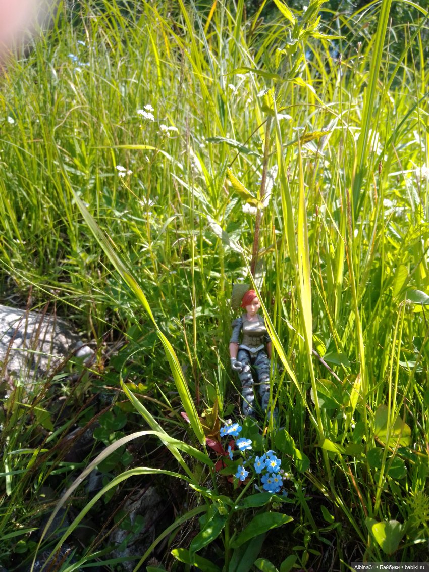 Вылазка на природу — Разные шарнирные куклы (не БЖД): редкие