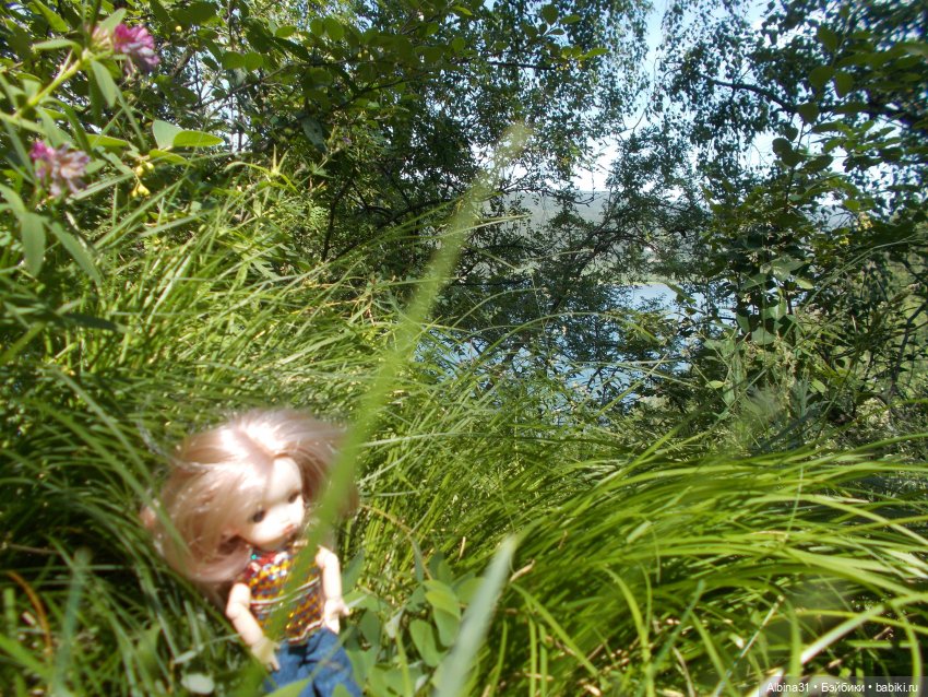 Вылазка на природу — Разные шарнирные куклы (не БЖД): редкие