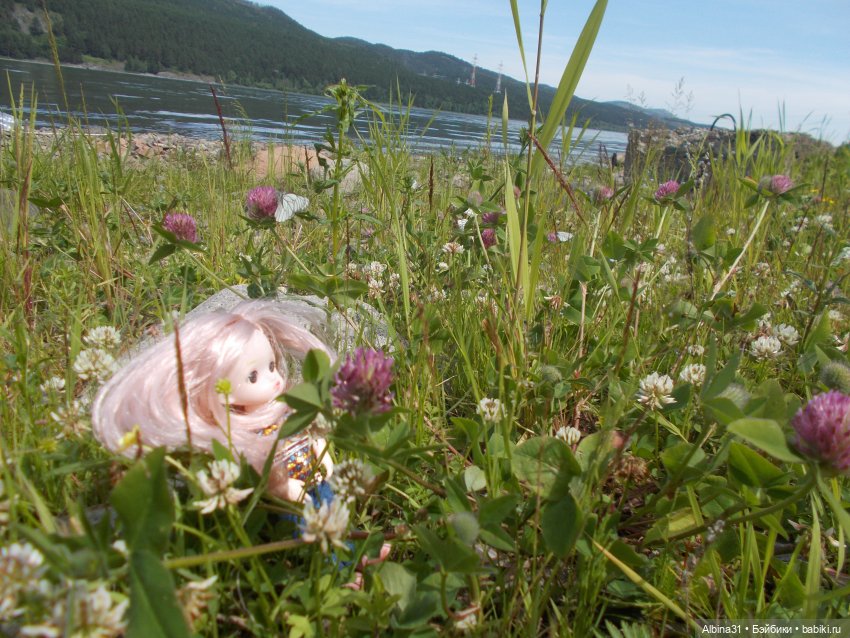 Вылазка на природу — Разные шарнирные куклы (не БЖД): редкие (фото 9)