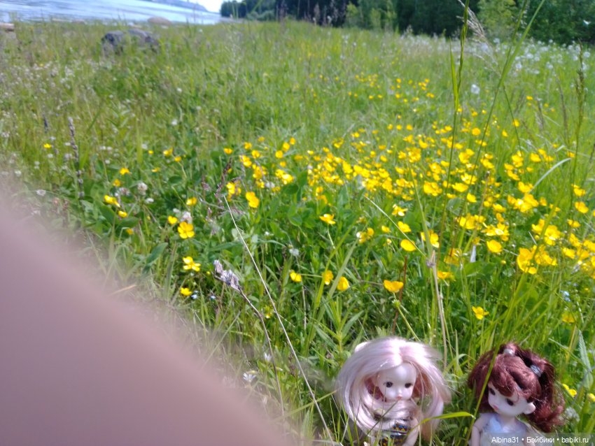 Вылазка на природу — Разные шарнирные куклы (не БЖД): редкие (фото 10)