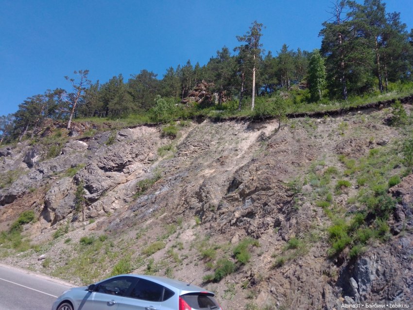 Вылазка на природу — Разные шарнирные куклы (не БЖД): редкие