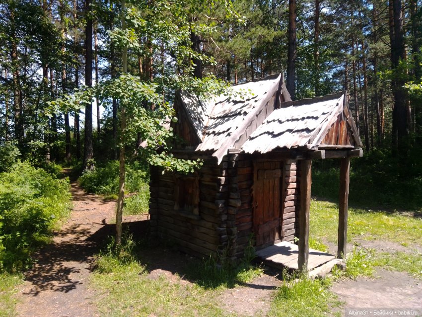 Вылазка на природу — Разные шарнирные куклы (не БЖД): редкие