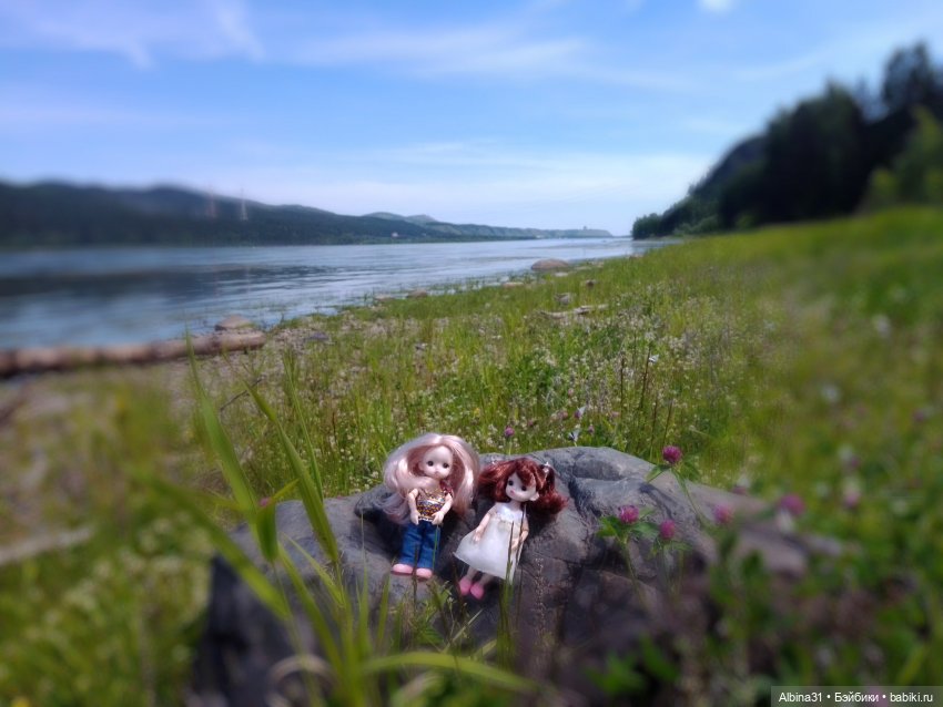 Вылазка на природу — Разные шарнирные куклы (не БЖД): редкие (фото 6)