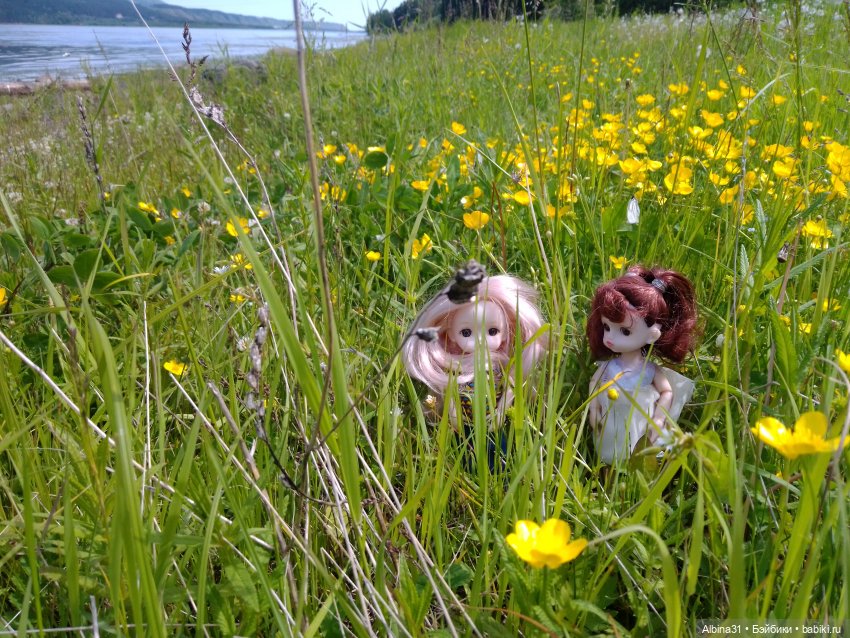 Вылазка на природу — Разные шарнирные куклы (не БЖД): редкие