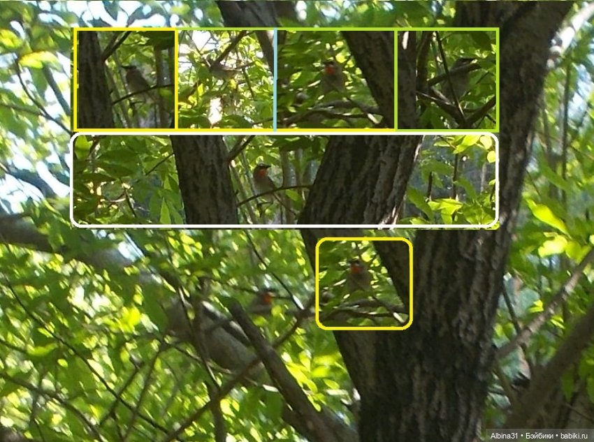 Вылазка на природу — Разные шарнирные куклы (не БЖД): редкие