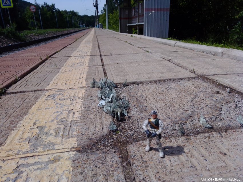 Вылазка на природу — Разные шарнирные куклы (не БЖД): редкие