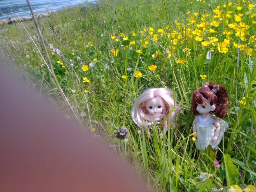 Вылазка на природу — Разные шарнирные куклы (не БЖД): редкие