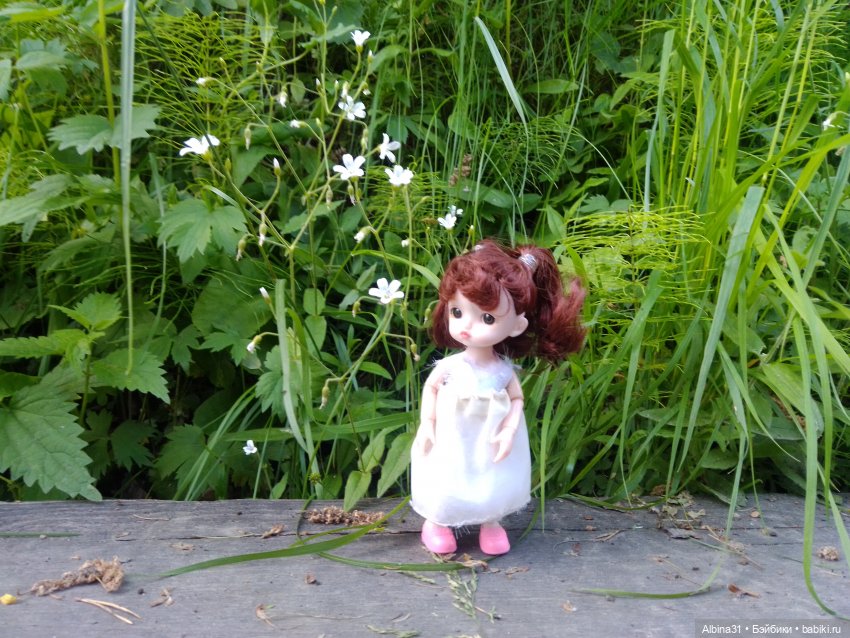 Вылазка на природу — Разные шарнирные куклы (не БЖД): редкие