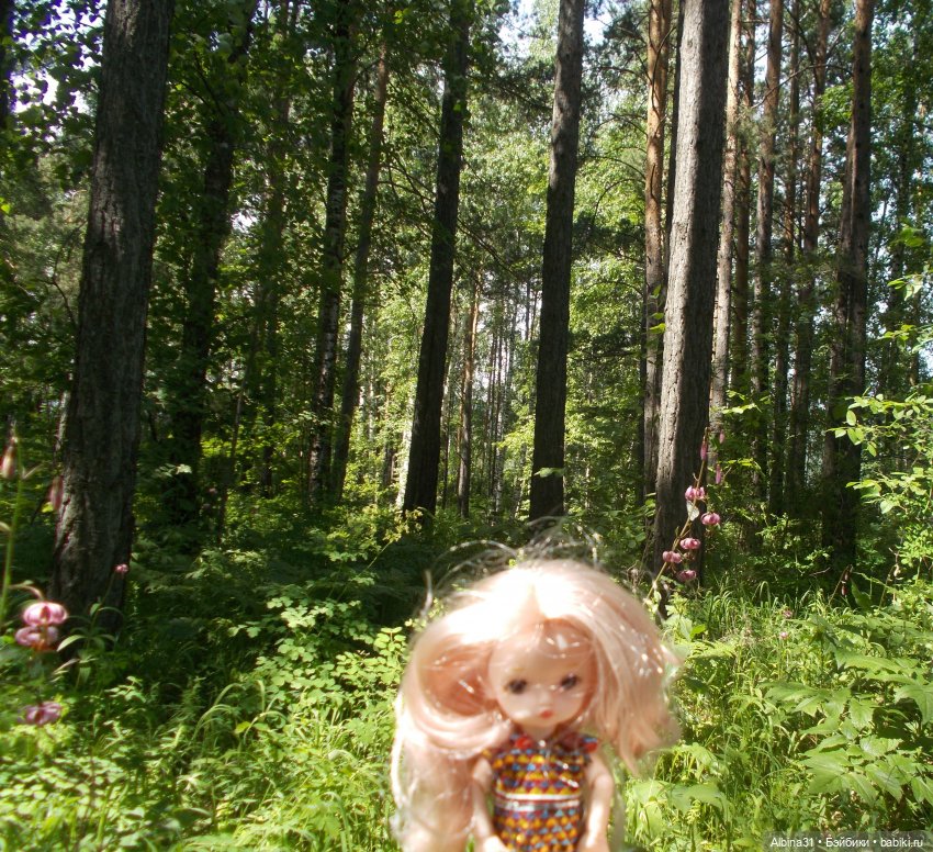 Вылазка на природу — Разные шарнирные куклы (не БЖД): редкие