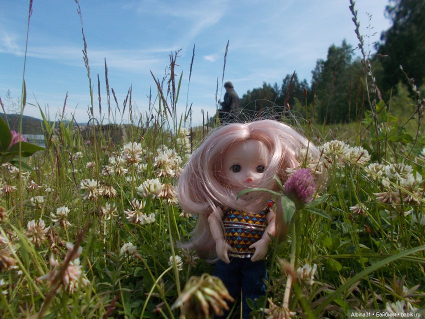 Вылазка на природу — Разные шарнирные куклы (не БЖД): редкие