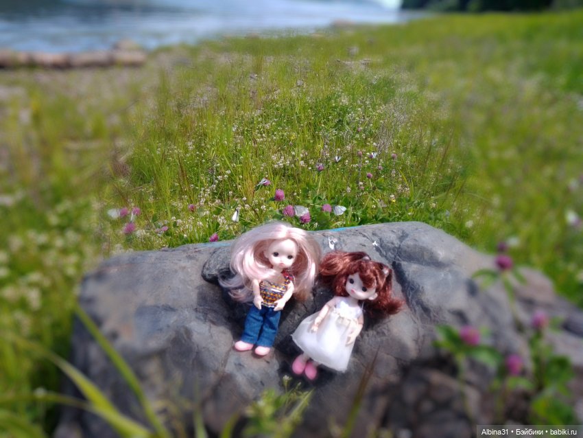 Вылазка на природу — Разные шарнирные куклы (не БЖД): редкие (фото 5)