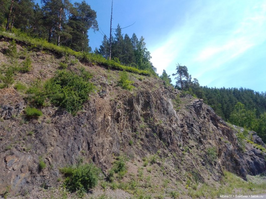 Вылазка на природу — Разные шарнирные куклы (не БЖД): редкие