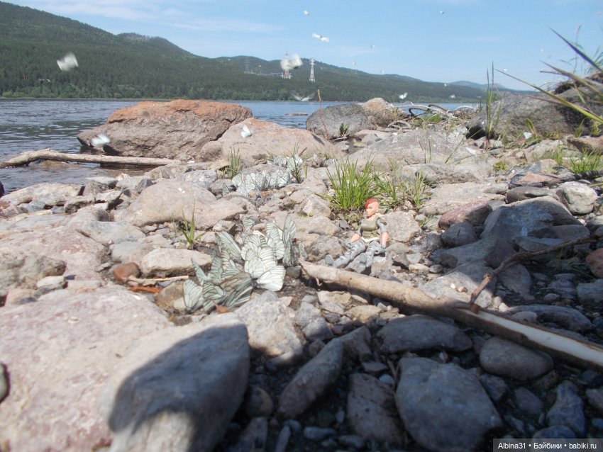 Вылазка на природу — Разные шарнирные куклы (не БЖД): редкие