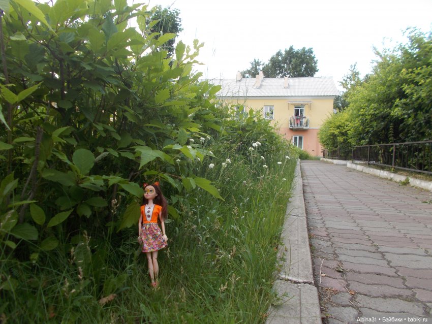 Городские зарисовки июль 2023 год (фото 3)