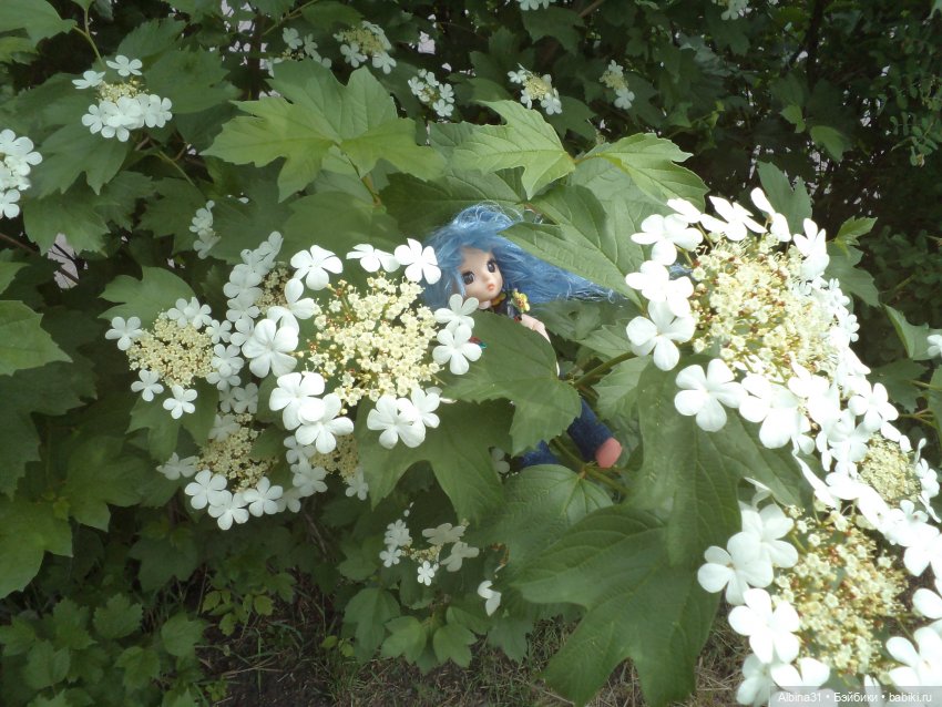 Городские зарисовки июнь 2023 год