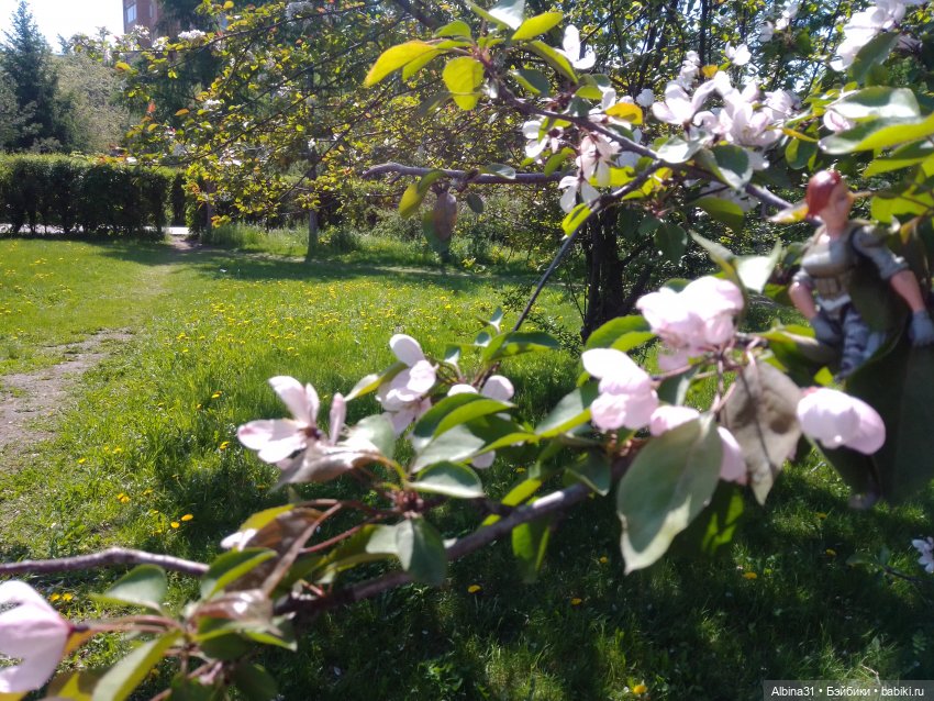 Городские зарисовки июнь 2023 год