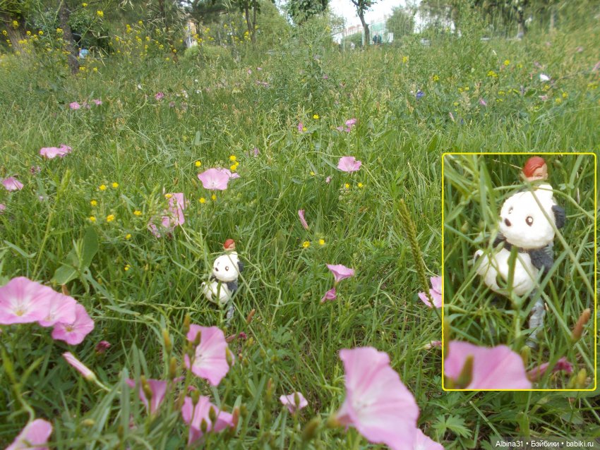 Городские зарисовки июль 2023 год (фото 4)