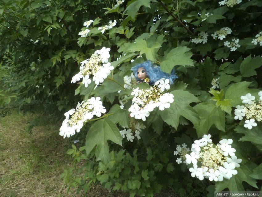 Городские зарисовки июнь 2023 год