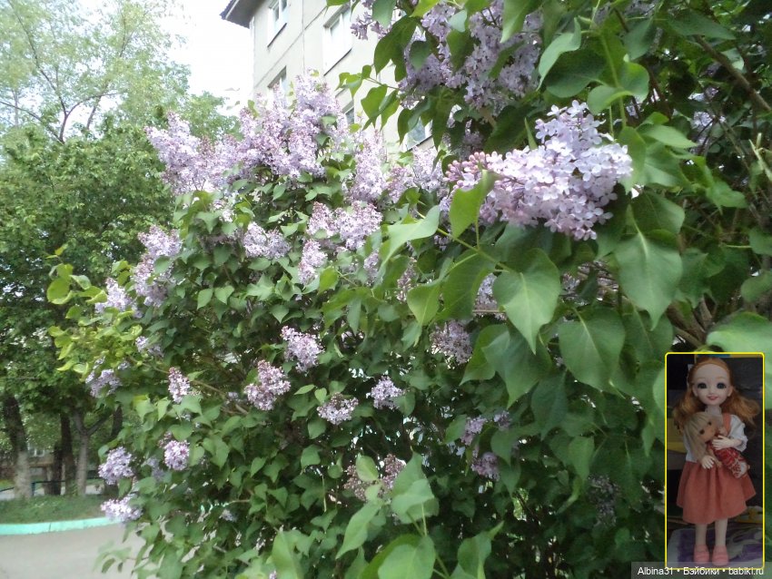 Городские зарисовки июнь 2023 год