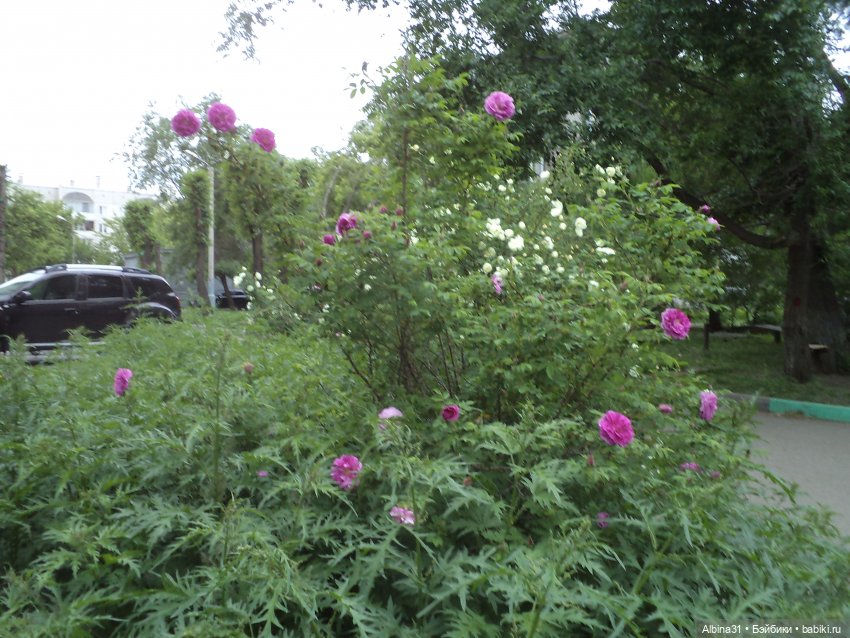 Городские зарисовки июнь 2023 год