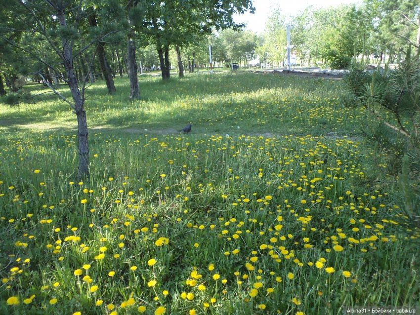 Городские зарисовки июнь 2023 год