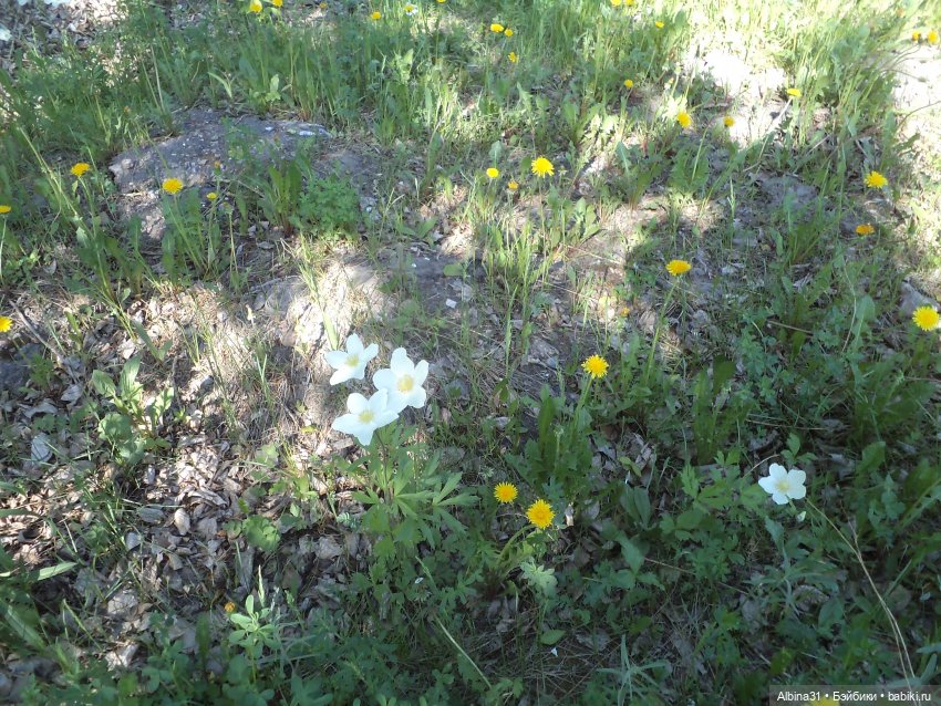 Городские зарисовки июнь 2023 год