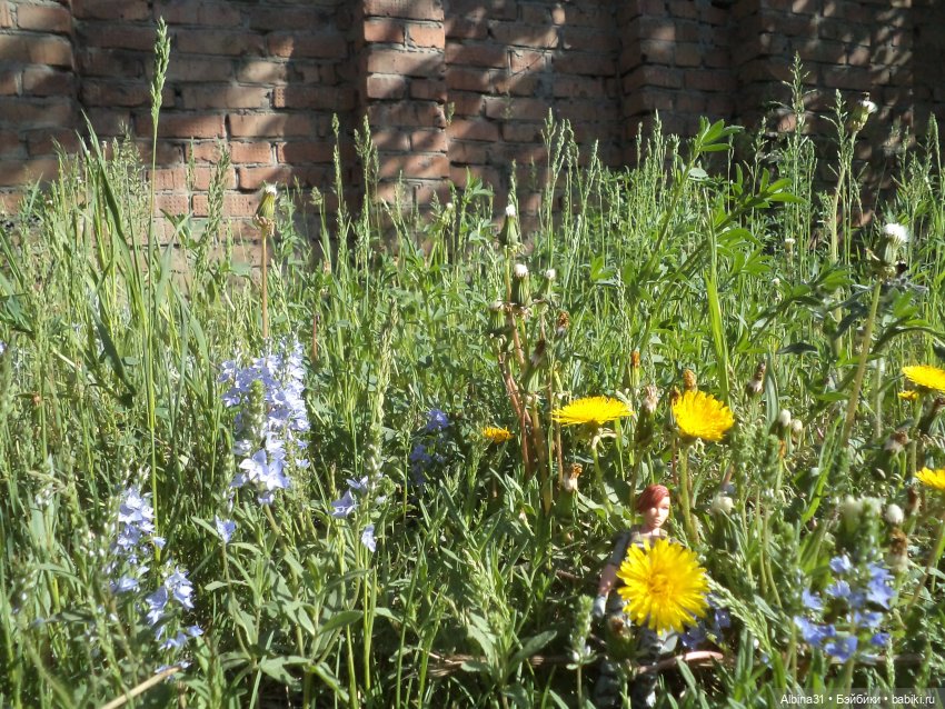 Городские зарисовки июнь 2023 год