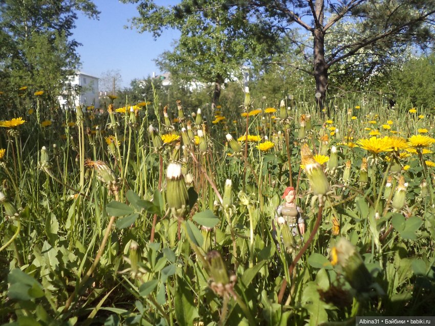 Городские зарисовки июнь 2023 год (фото 7)