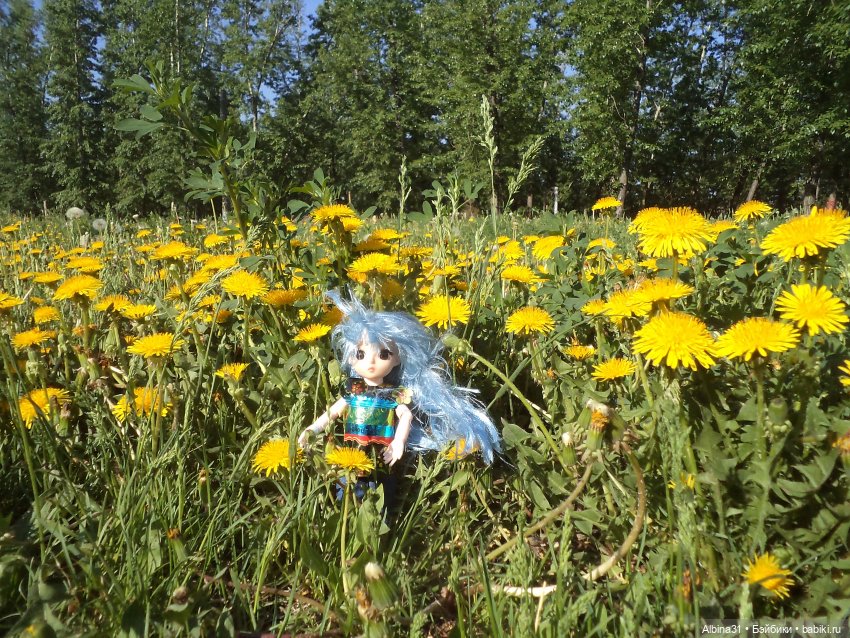 Городские зарисовки июнь 2023 год