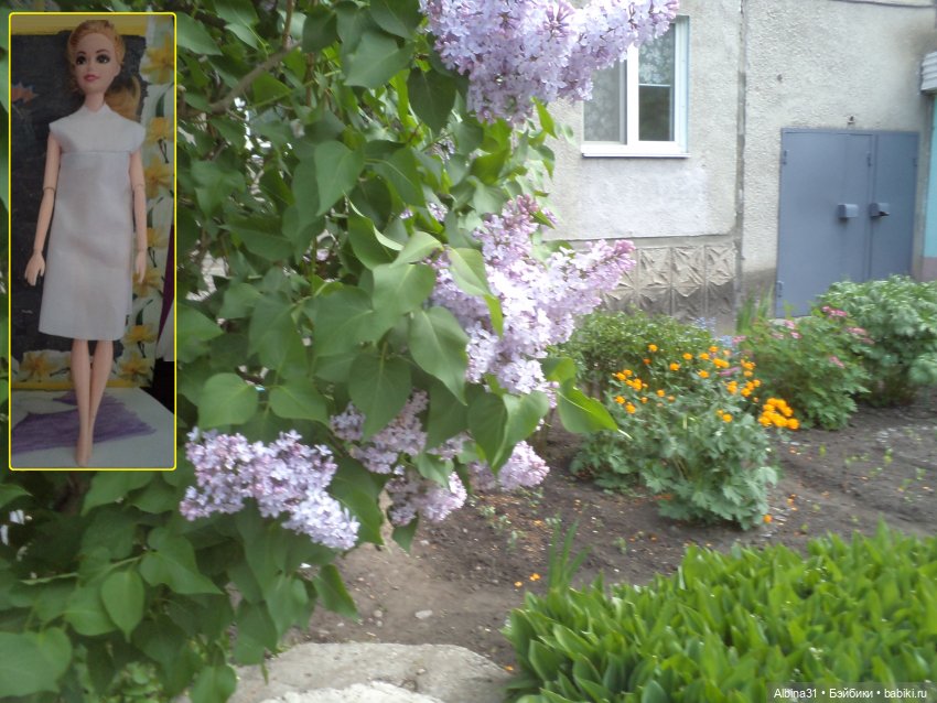 Городские зарисовки июнь 2023 год (фото 2)