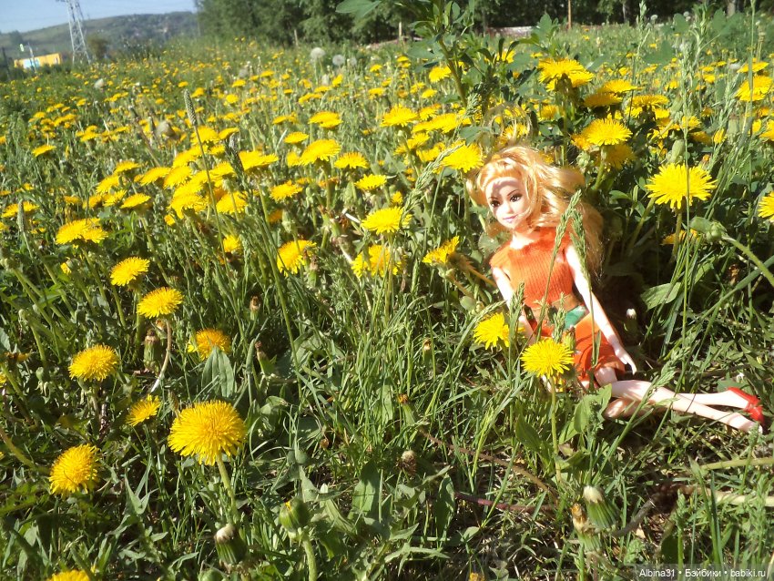 Городские зарисовки июнь 2023 год