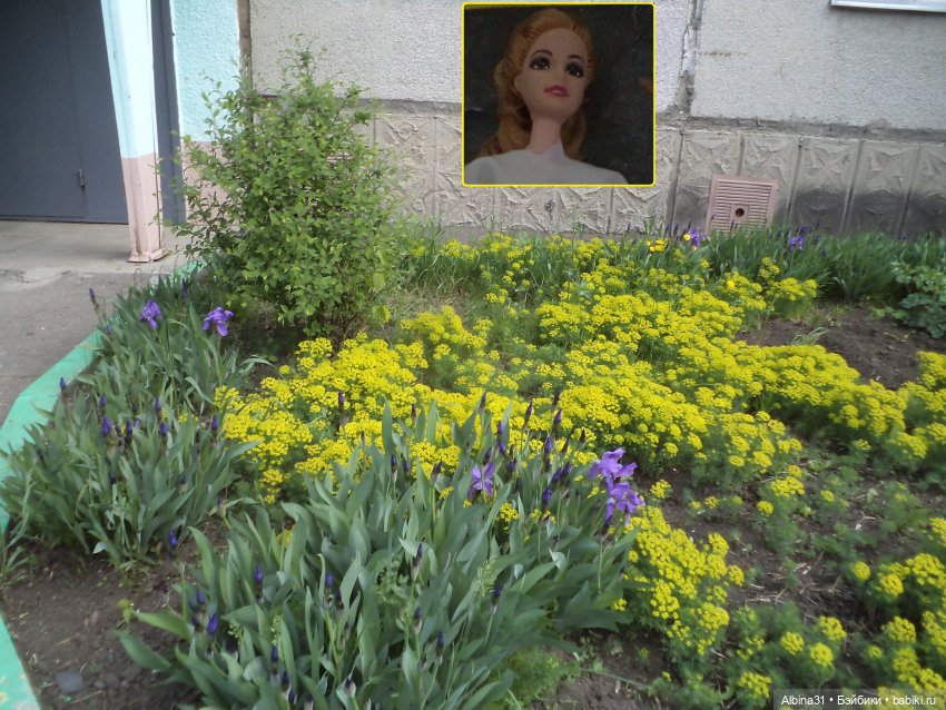 Городские зарисовки июнь 2023 год (фото 4)