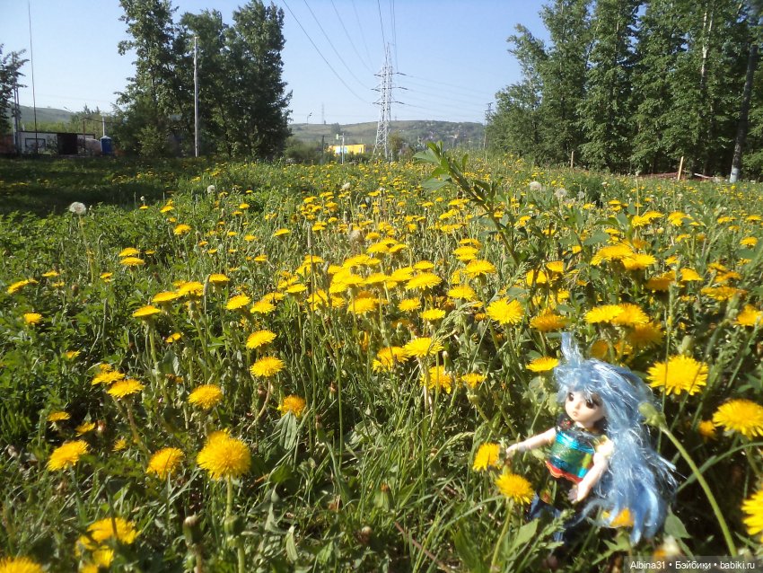 Городские зарисовки июнь 2023 год