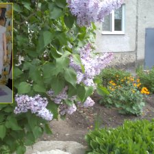 Городские зарисовки июнь 2023 год