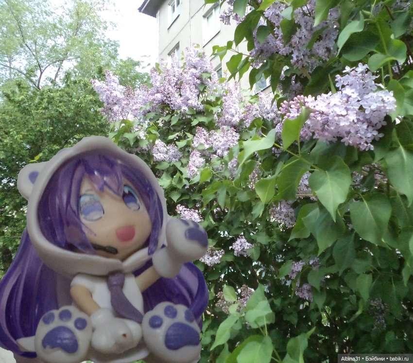 Моя любовь Мику (12-13) — Аниме куклы (MJD/Винил): Imomo (фото 7)