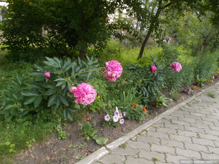 Городские зарисовки июль 2023 год