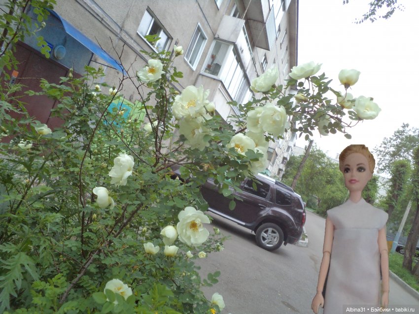 Июнь 2023 — Игровые куклы разных производителей (Разное): редкие бренды