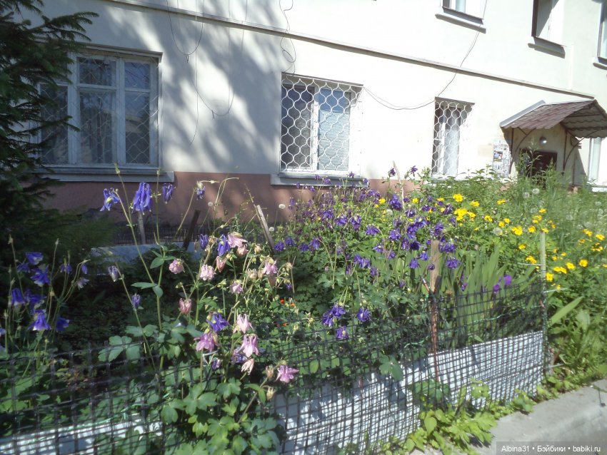 Июнь 2023 — Игровые куклы разных производителей (Разное): редкие бренды