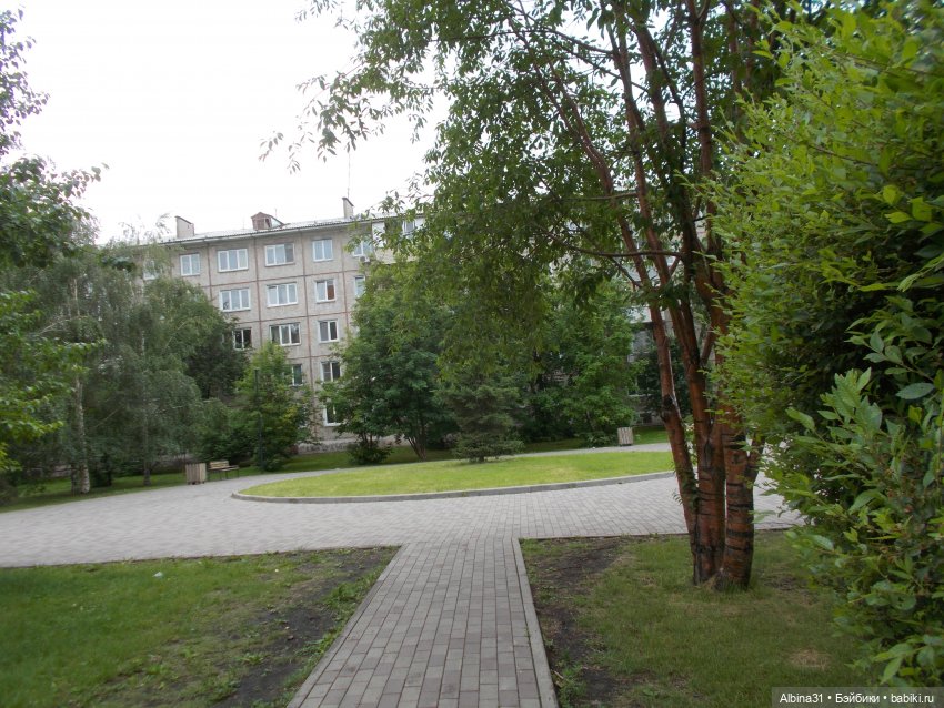 Июнь 2023 — Игровые куклы разных производителей (Разное): редкие бренды